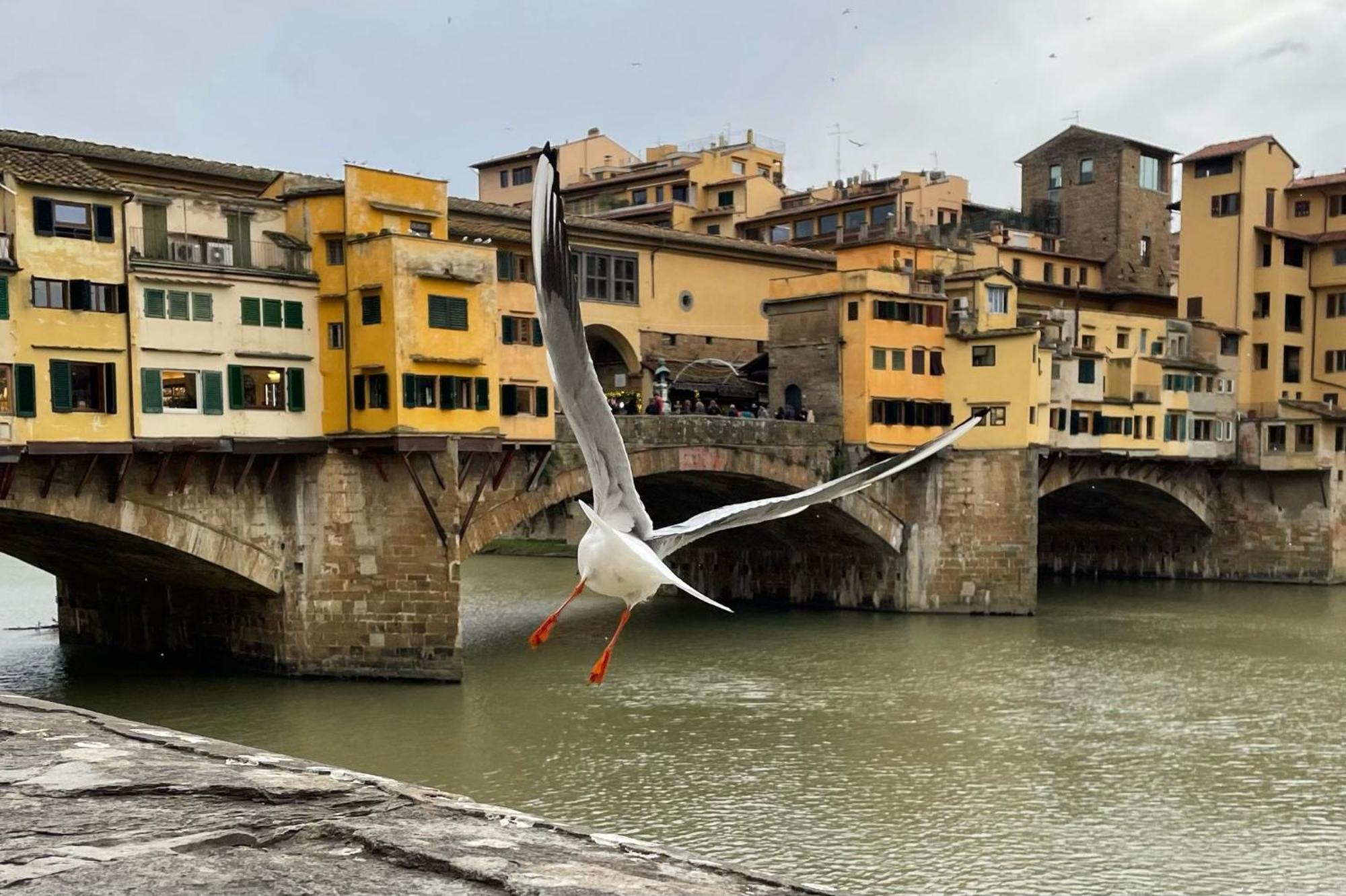 Modern Apartments In The Heart Of Florence Florença Exterior foto